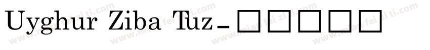 Uyghur Ziba Tuz字体转换